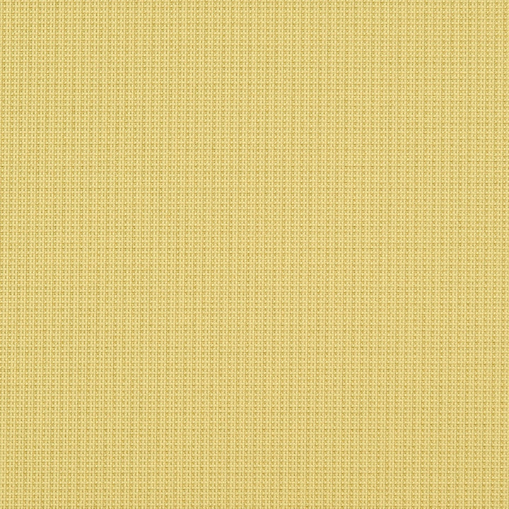 Eva 13J7031 by JF Crypton Designer Fabric Crypton Binder 100% Polyester United States 50000 Horizontal: and Vertical: 54 - Swanky Fabrics -