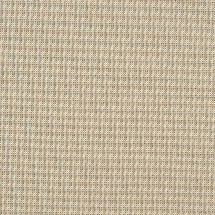 Eva 34J7031 by JF Crypton Designer Fabric Crypton Binder 100% Polyester United States 50000 Horizontal: and Vertical: 54 - Swanky Fabrics -