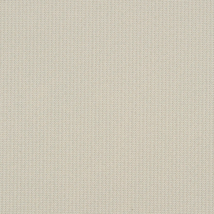 Eva 91J7031 by JF Crypton Designer Fabric Crypton Binder 100% Polyester United States 50000 Horizontal: and Vertical: 54 - Swanky Fabrics -