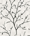 Seabrook Designs Wallpaper Avena Branches Contrast EW10200