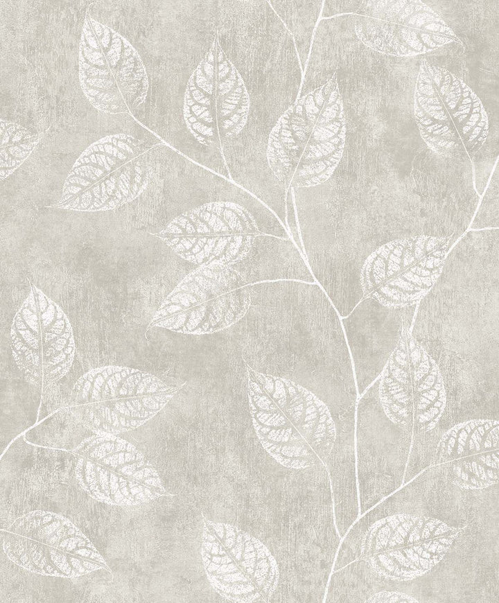 Branch Trail Silhouette Grey Taupe EW10807 by Seabrook Designs Designer Wallpaper