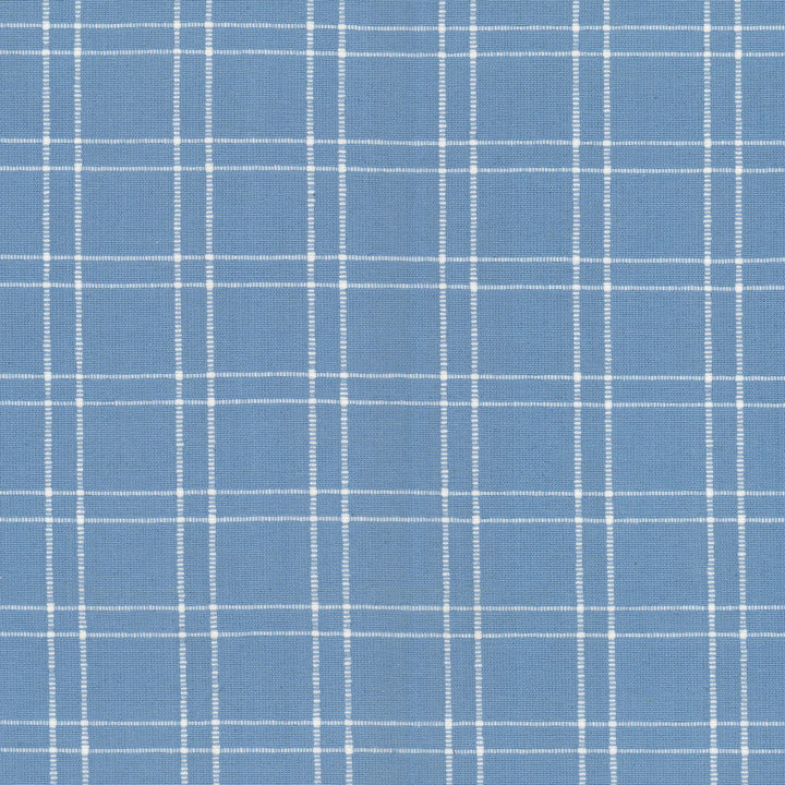 Extract 1 Powder by Stout Designer Fabric RAINBOW LIBRARY HAZE/SKY 100%COT INDIA Horizontal: 2.000 and Vertical: 1.750 54 in - Swanky Fabrics -