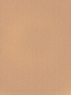 North Downs Spiced Peach EY13ND0002 by Old World Weavers Designer Fabric DORSET COAST 40% POLYESTER 39% VISCOSE 21% COTTON ITALY MEDIUM DUTY Horizontal: .5" and Vertical: 1" 54 - Swanky Fabrics -
