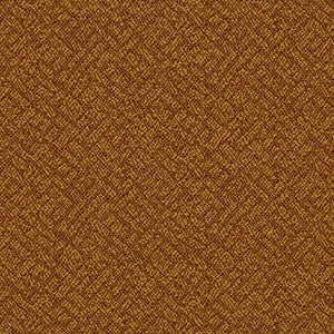 Crypton Fabric Easy Street Clay