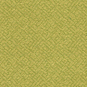 Crypton Fabric Easy Street Grass