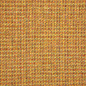 Sunbrella Fabric 16005-0011 Essential Spark