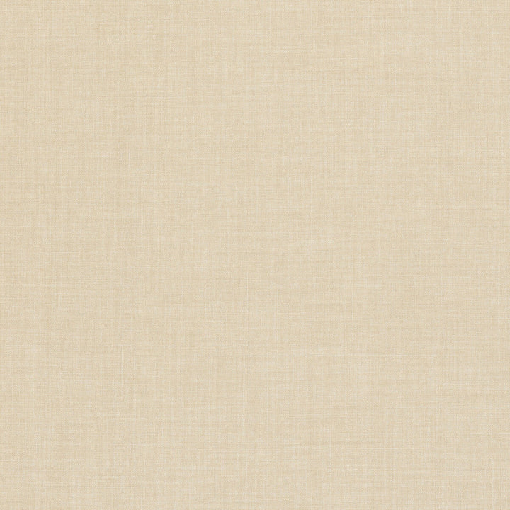 Linoso Buff by Clarke And Clarke Fabric Clarke And Clarke Fabric Linoso BuffFabric CLARKE & CLARKE LINOSO II POLYESTER - 100% China </p><p>Repeat: H: 0, V: 0 58 - Fabric Carolina -