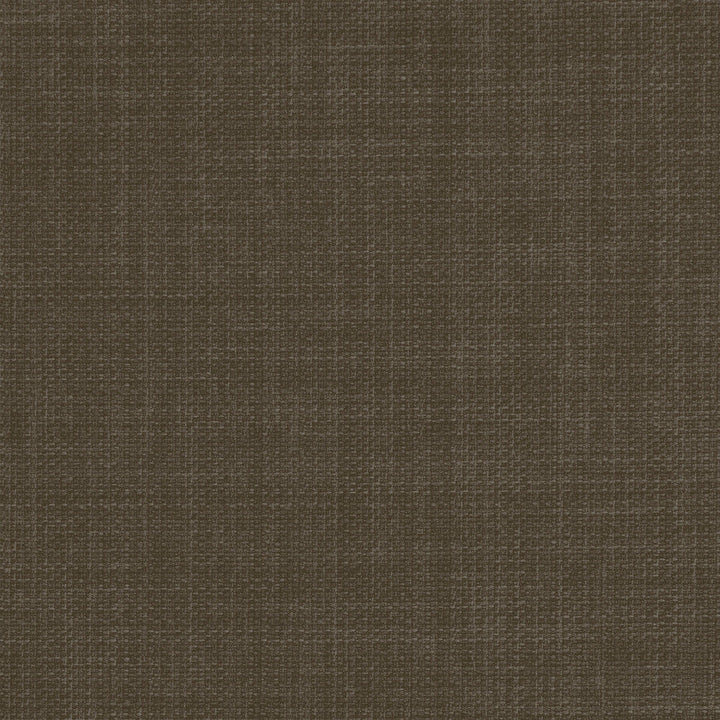 Linoso Pecan by Clarke And Clarke Designer Fabric CLARKE & CLARKE LINOSO II POLYESTER - 100% China HEAVY Horizontal: 0 and Vertical: 0 58 - Swanky Fabrics -