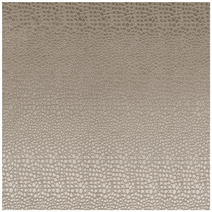 Clarke And Clarke Fabric Pulse Ash