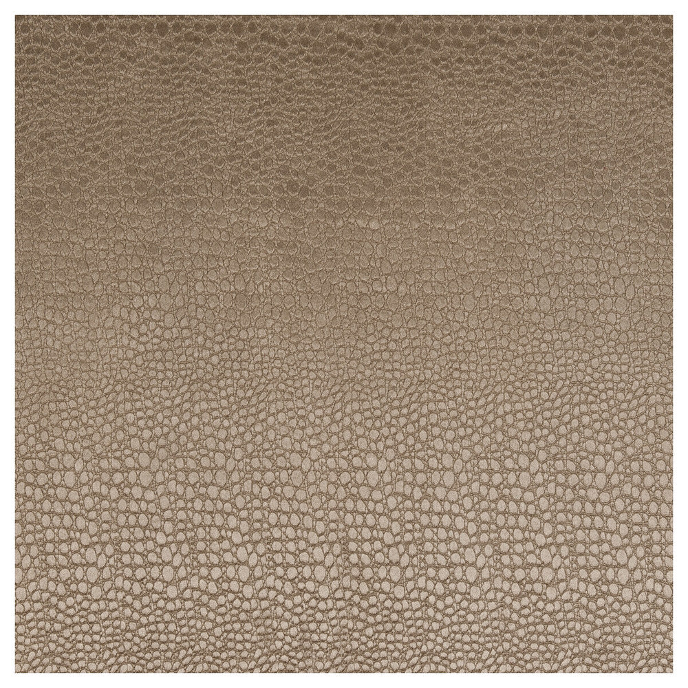 Pulse Taupe by Clarke And Clarke Designer Fabric CLARKE & CLARKE TEMPO VELVETS POLYESTER - 100% China HEAVY Horizontal: 2.56 and Vertical: 8.66 56 - Swanky Fabrics -