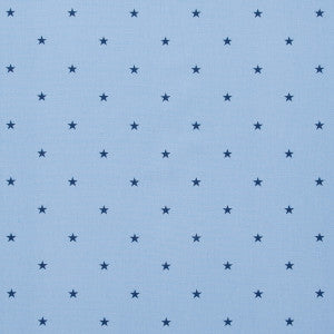 Clarke And Clarke Fabric Etoile Denim