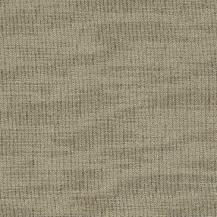 Nantucket Eucalyptus by Clarke And Clarke Designer Fabric CLARKE & CLARKE NANTUCKET COTTON - 100% India HEAVY Horizontal: 0 and Vertical: 0 55 - Swanky Fabrics -