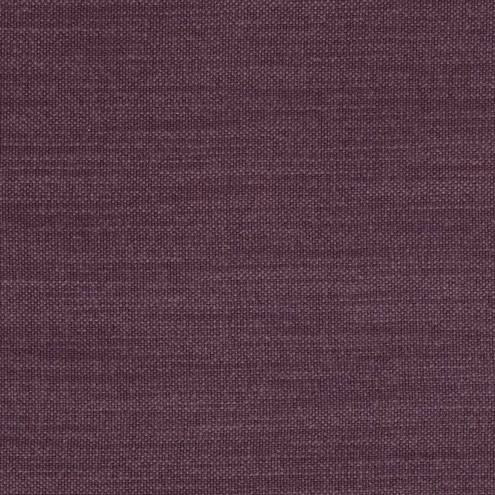 Nantucket Grape by Clarke And Clarke Designer Fabric CLARKE & CLARKE NANTUCKET COTTON - 100% India HEAVY Horizontal: 0 and Vertical: 0 55 - Swanky Fabrics -