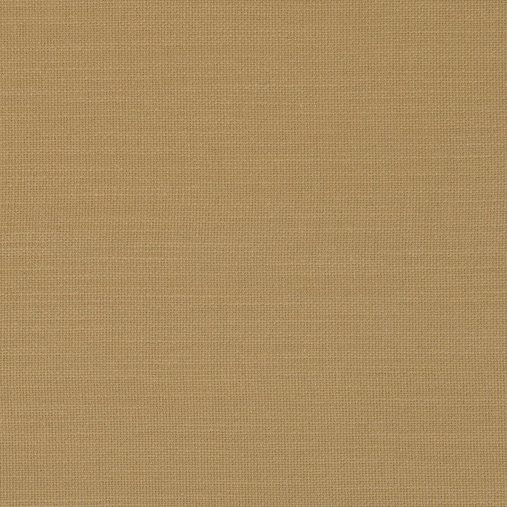 Nantucket Malt by Clarke And Clarke Designer Fabric CLARKE & CLARKE NANTUCKET COTTON - 100% India HEAVY Horizontal: 0 and Vertical: 0 55 - Swanky Fabrics -