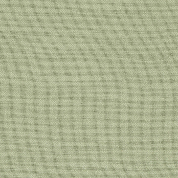 Nantucket Meadow by Clarke And Clarke Designer Fabric CLARKE & CLARKE NANTUCKET COTTON - 100% India HEAVY Horizontal: 0 and Vertical: 0 55 - Swanky Fabrics -