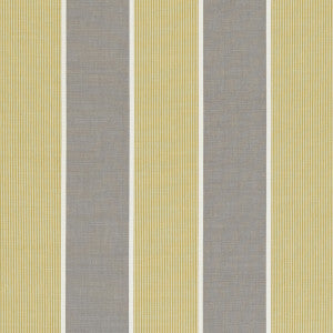 Clarke And Clarke Fabric Chatburn Citrus