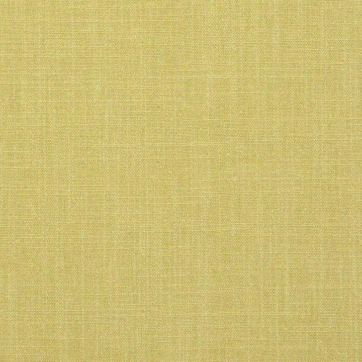 Easton Acacia by Clarke And Clarke Designer Fabric CLARKE & CLARKE MANOR HOUSE COTTON - 25%;LINEN - 25%;POLYESTER - 25%;VISCOSE - 25% India HEAVY Horizontal: 0 and Vertical: 0 54 - Swanky Fabrics -