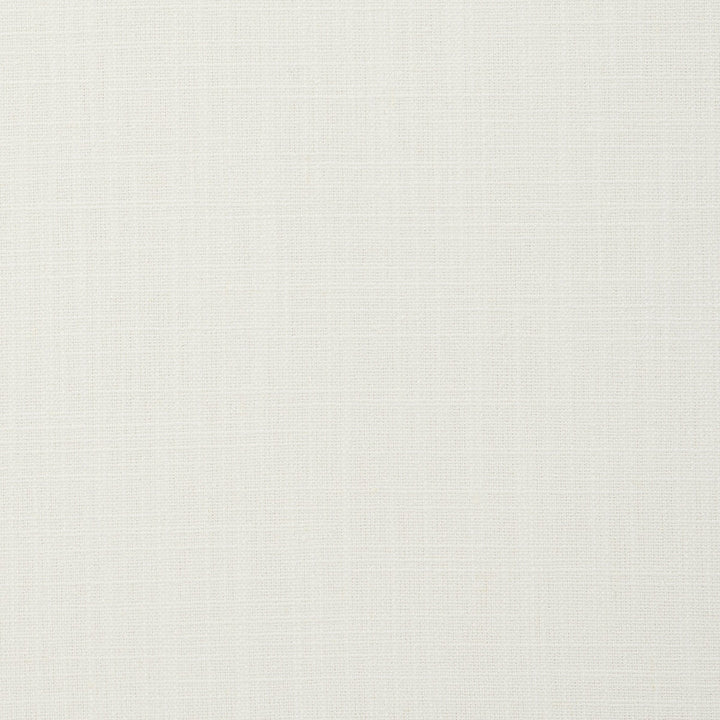 Easton Ivory by Clarke And Clarke Designer Fabric CLARKE & CLARKE MANOR HOUSE COTTON - 25%;LINEN - 25%;POLYESTER - 25%;VISCOSE - 25% India HEAVY Horizontal: 0 and Vertical: 0 54 - Swanky Fabrics -