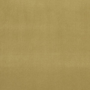 Clarke And Clarke Fabric Alvar Olive
