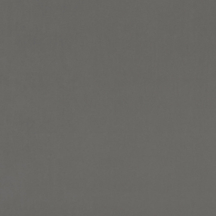 Alvar Ash by Clarke And Clarke Designer Fabric CLARKE & CLARKE ALVAR POLYESTER - 100% China HEAVY Horizontal: 0 and Vertical: 0 57 - Swanky Fabrics -
