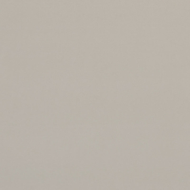 Alvar Birch by Clarke And Clarke Fabric Clarke And Clarke Fabric Alvar BirchFabric CLARKE & CLARKE ALVAR POLYESTER - 100% China </p><p>Repeat: H: 0, V: 0 57 - Fabric Carolina -
