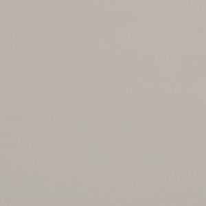 Clarke And Clarke Fabric Alvar Birch