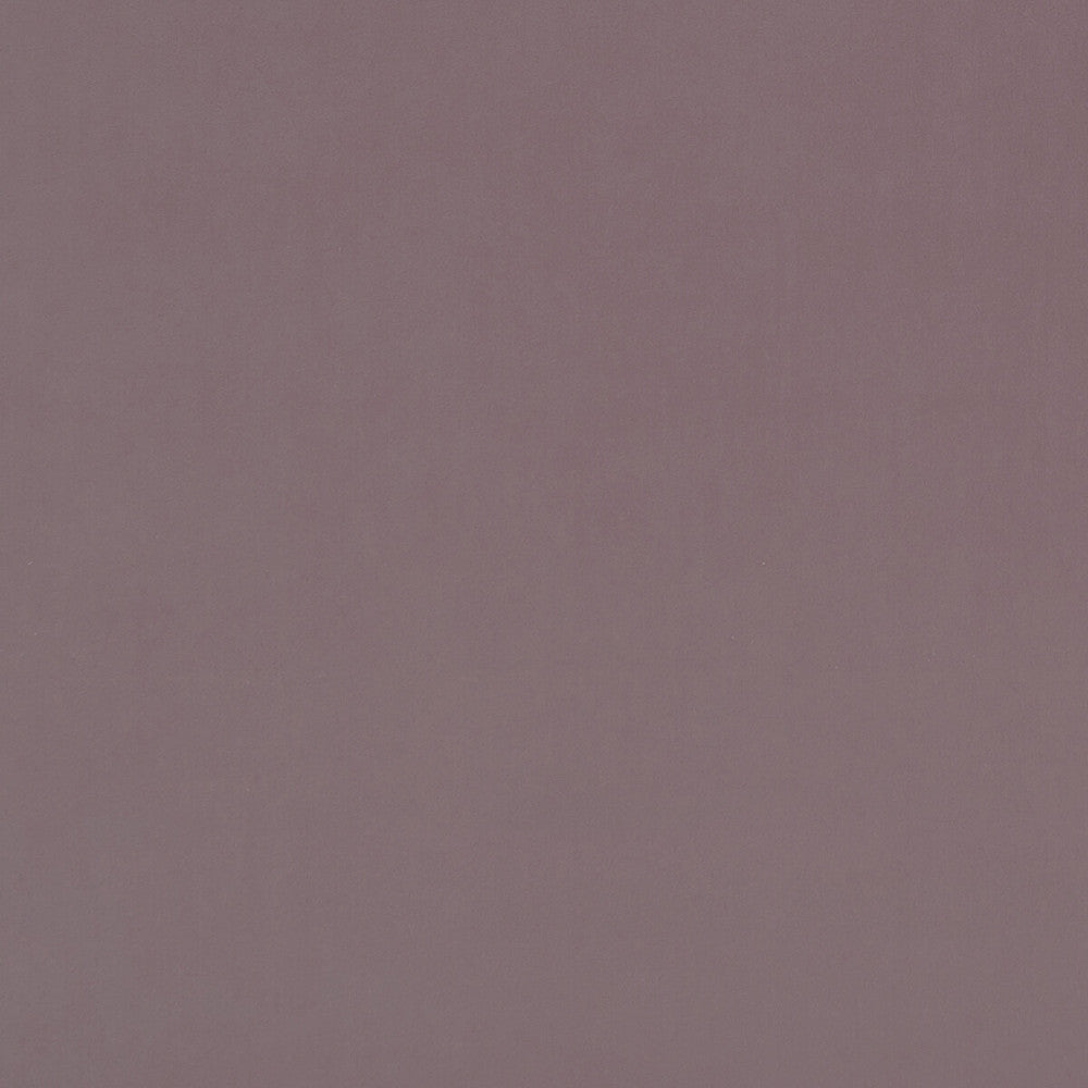 Alvar Blush by Clarke And Clarke Fabric Clarke And Clarke Fabric Alvar BlushFabric CLARKE & CLARKE ALVAR POLYESTER - 100% China </p><p>Repeat: H: 0, V: 0 57 - Fabric Carolina -
