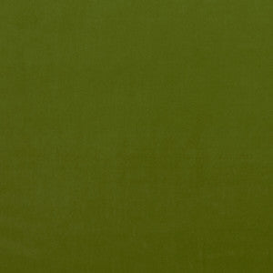 Clarke And Clarke Fabric Alvar Citron