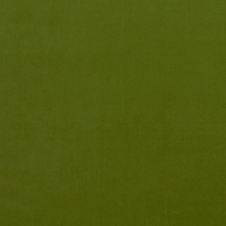Alvar Citron by Clarke And Clarke Designer Fabric CLARKE & CLARKE ALVAR POLYESTER - 100% China HEAVY Horizontal: 0 and Vertical: 0 57 - Swanky Fabrics -