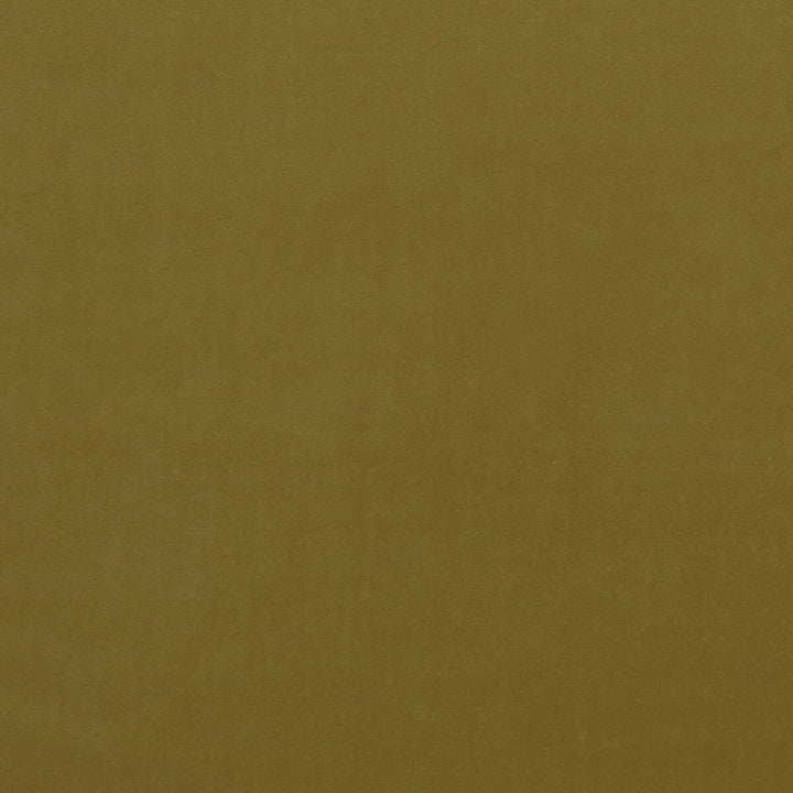 Alvar Gold by Clarke And Clarke Designer Fabric CLARKE & CLARKE ALVAR POLYESTER - 100% China HEAVY Horizontal: 0 and Vertical: 0 57 - Swanky Fabrics -