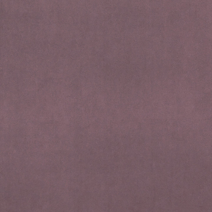 Alvar Lavender by Clarke And Clarke Fabric Clarke And Clarke Fabric Alvar LavenderFabric CLARKE & CLARKE ALVAR POLYESTER - 100% China </p><p>Repeat: H: 0, V: 0 57 - Fabric Carolina -
