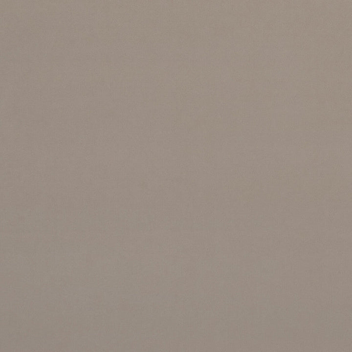 Alvar Biscotti by Clarke And Clarke Fabric Clarke And Clarke Fabric Alvar BiscottiFabric CLARKE & CLARKE ALVAR 2 POLYESTER - 100% China </p><p>Repeat: H: 0, V: 0 56.75 - Fabric Carolina -