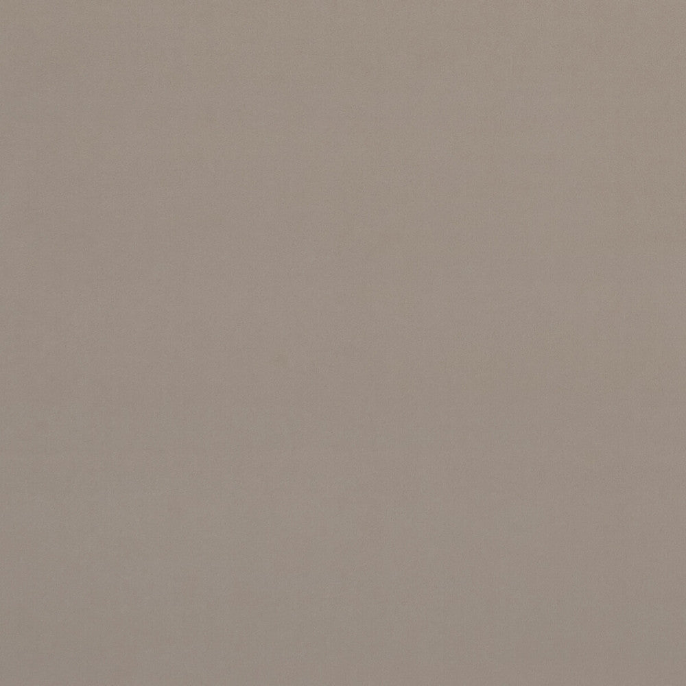 Alvar Biscotti by Clarke And Clarke Designer Fabric CLARKE & CLARKE ALVAR 2 POLYESTER - 100% China HEAVY Horizontal: 0 and Vertical: 0 56.75 - Swanky Fabrics -