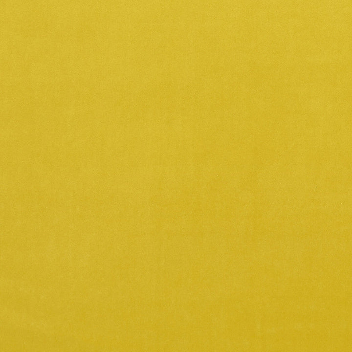 Alvar Chartreuse by Clarke And Clarke Designer Fabric CLARKE & CLARKE ALVAR 2 POLYESTER - 100% China HEAVY Horizontal: 0 and Vertical: 0 56.75 - Swanky Fabrics -