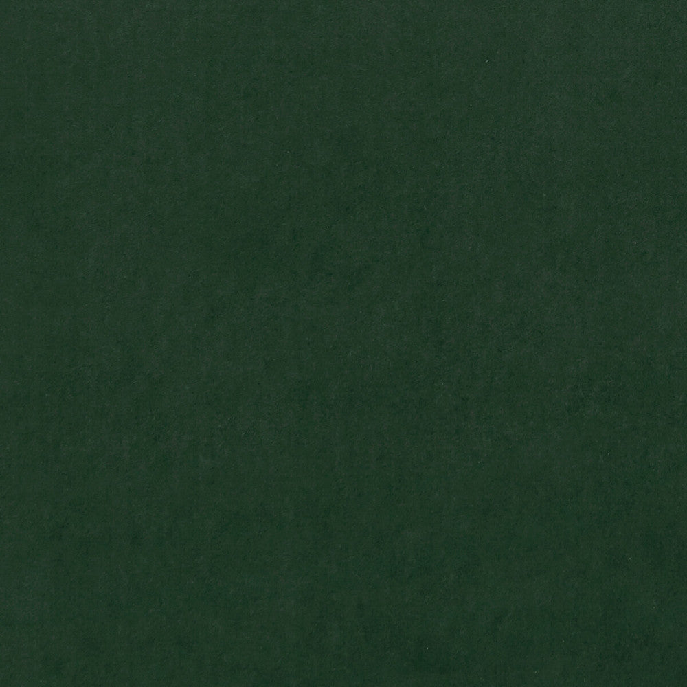 Alvar Emerald by Clarke And Clarke Fabric Clarke And Clarke Fabric Alvar EmeraldFabric CLARKE & CLARKE ALVAR 2 POLYESTER - 100% China </p><p>Repeat: H: 0, V: 0 56.75 - Fabric Carolina -
