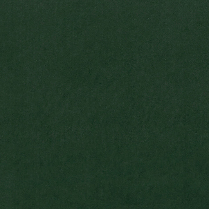 Alvar Emerald by Clarke And Clarke Fabric Clarke And Clarke Fabric Alvar EmeraldFabric CLARKE & CLARKE ALVAR 2 POLYESTER - 100% China </p><p>Repeat: H: 0, V: 0 56.75 - Fabric Carolina -