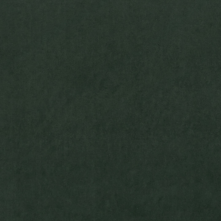 Alvar Forest by Clarke And Clarke Fabric Clarke And Clarke Fabric Alvar ForestFabric CLARKE & CLARKE ALVAR 2 POLYESTER - 100% China </p><p>Repeat: H: 0, V: 0 56.75 - Fabric Carolina -