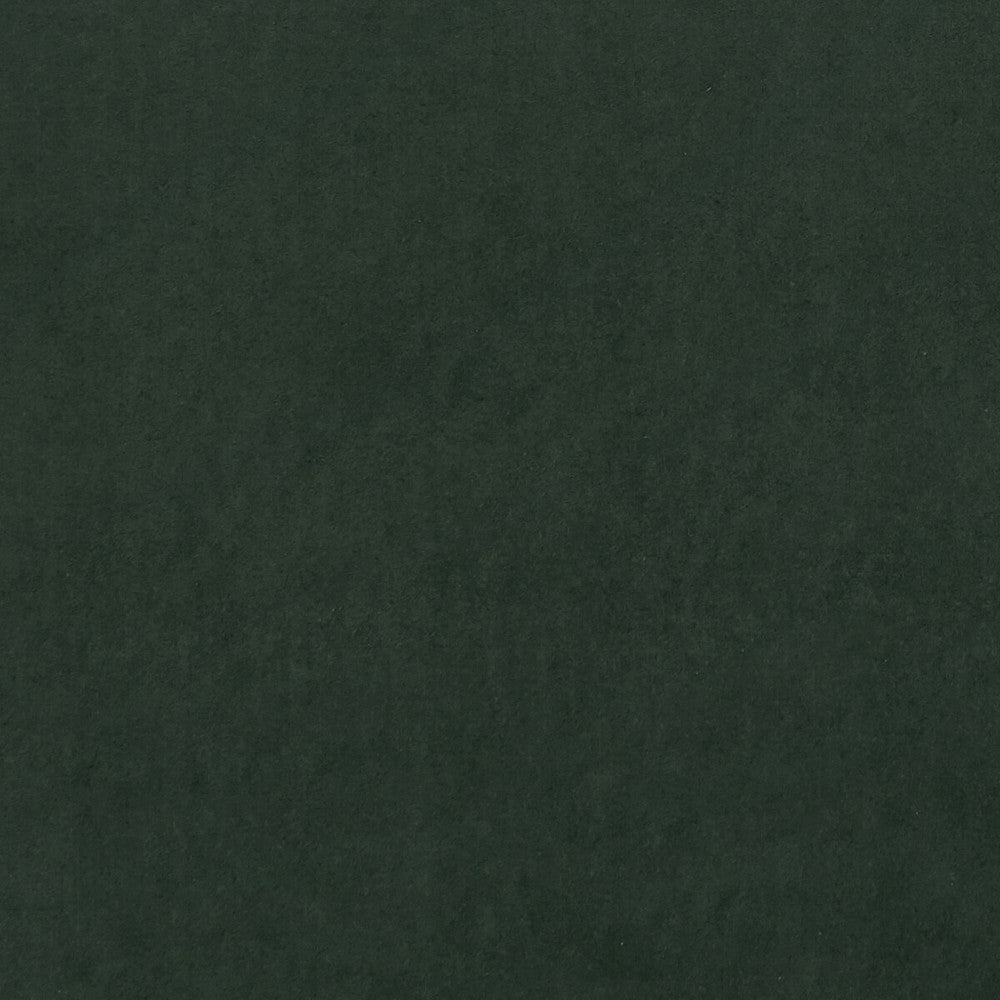 Alvar Forest by Clarke And Clarke Designer Fabric CLARKE & CLARKE ALVAR 2 POLYESTER - 100% China HEAVY Horizontal: 0 and Vertical: 0 56.75 - Swanky Fabrics -