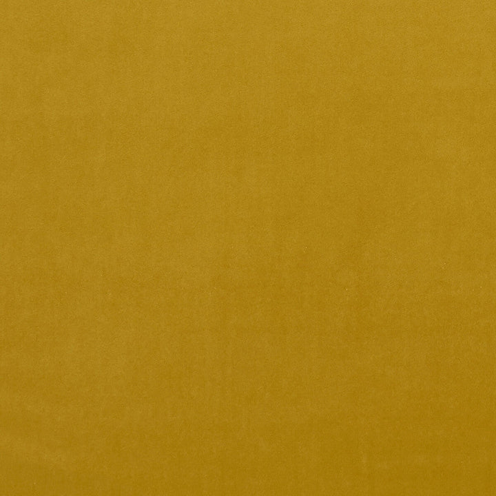 Alvar Honey by Clarke And Clarke Designer Fabric CLARKE & CLARKE ALVAR 2 POLYESTER - 100% China HEAVY Horizontal: 0 and Vertical: 0 56.75 - Swanky Fabrics -