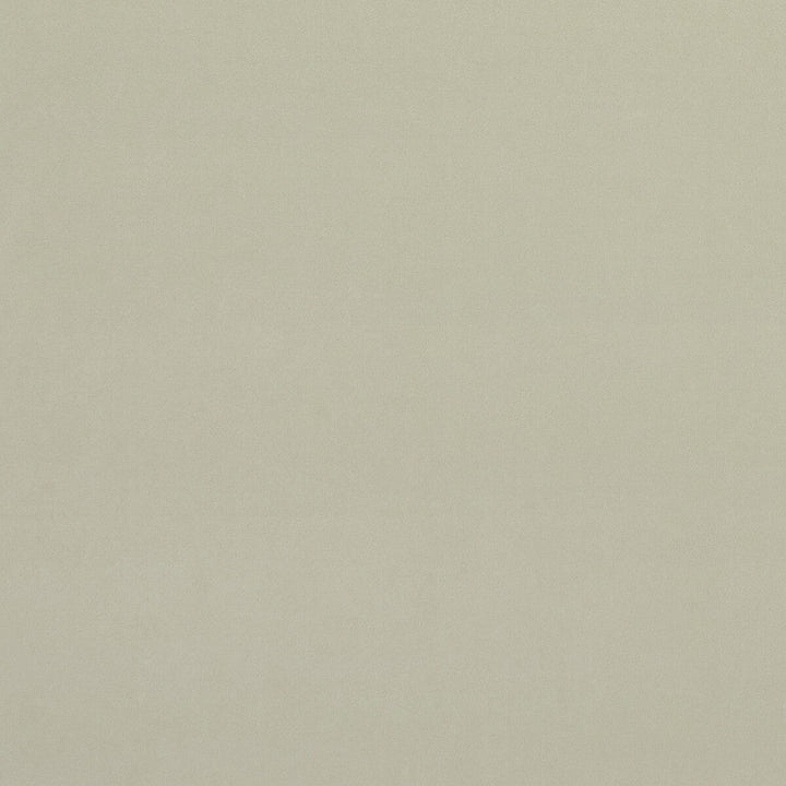 Alvar Ivory by Clarke And Clarke Designer Fabric CLARKE & CLARKE ALVAR 2 POLYESTER - 100% China HEAVY Horizontal: 0 and Vertical: 0 56.75 - Swanky Fabrics -