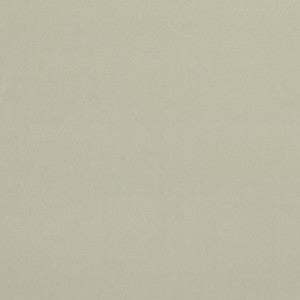 Clarke And Clarke Fabric Alvar Ivory