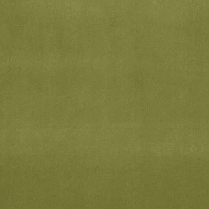 Alvar Leaf by Clarke And Clarke Fabric Clarke And Clarke Fabric Alvar LeafFabric CLARKE & CLARKE ALVAR 2 POLYESTER - 100% China </p><p>Repeat: H: 0, V: 0 56.75 - Fabric Carolina -