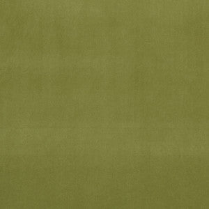 Clarke And Clarke Fabric Alvar Leaf