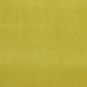 Clarke And Clarke Fabric Alvar Lime