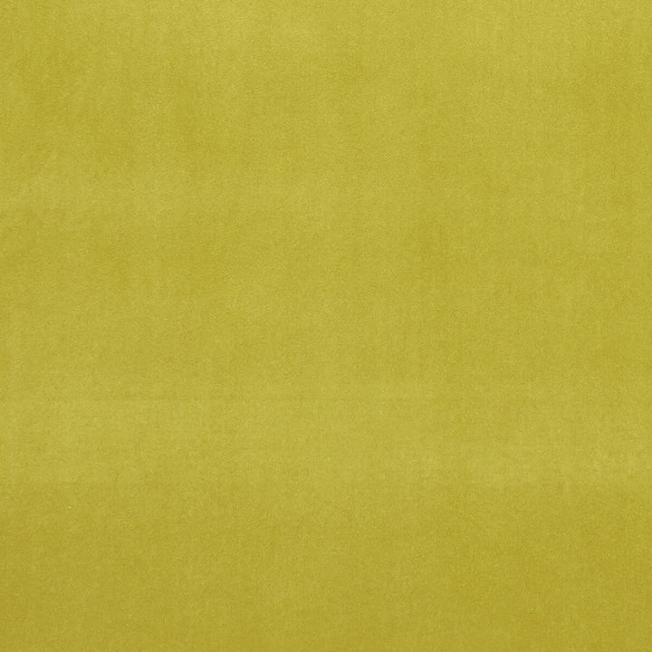 Alvar Lime by Clarke And Clarke Designer Fabric CLARKE & CLARKE ALVAR 2 POLYESTER - 100% China HEAVY Horizontal: 0 and Vertical: 0 56.75 - Swanky Fabrics -