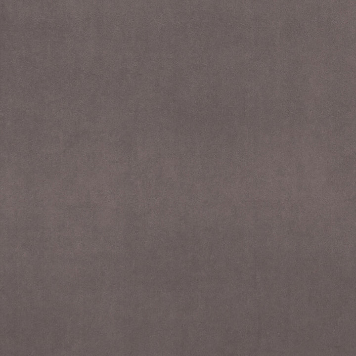 Alvar Mink by Clarke And Clarke Designer Fabric CLARKE & CLARKE ALVAR 2 POLYESTER - 100% China HEAVY Horizontal: 0 and Vertical: 0 56.75 - Swanky Fabrics -