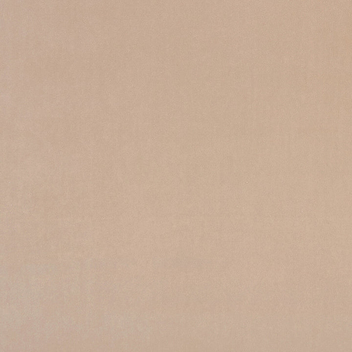 Alvar Nude by Clarke And Clarke Designer Fabric CLARKE & CLARKE ALVAR 2 POLYESTER - 100% China HEAVY Horizontal: 0 and Vertical: 0 56.75 - Swanky Fabrics -