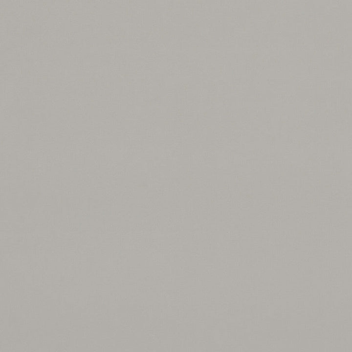 Alvar Pebble by Clarke And Clarke Designer Fabric CLARKE & CLARKE ALVAR 2 POLYESTER - 100% China HEAVY Horizontal: 0 and Vertical: 0 56.75 - Swanky Fabrics -