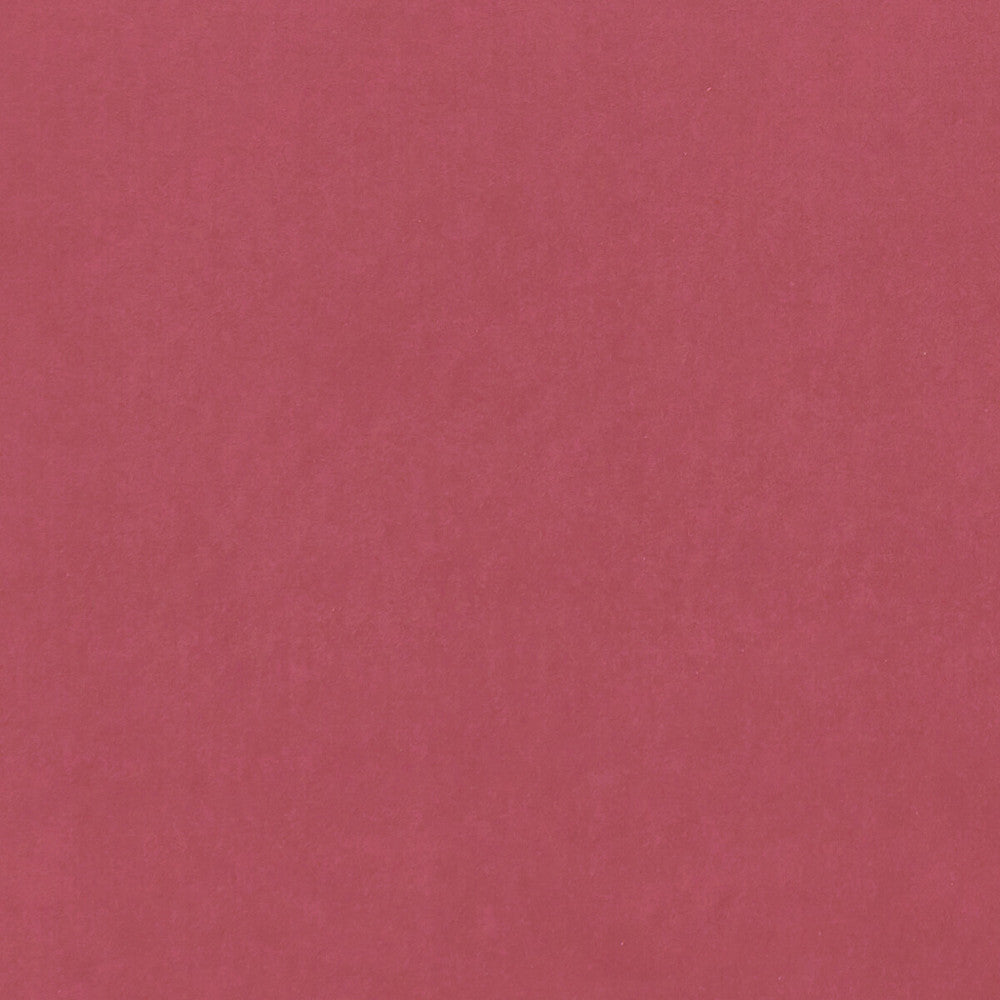 Alvar Peony by Clarke And Clarke Designer Fabric CLARKE & CLARKE ALVAR 2 POLYESTER - 100% China HEAVY Horizontal: 0 and Vertical: 0 56.75 - Swanky Fabrics -