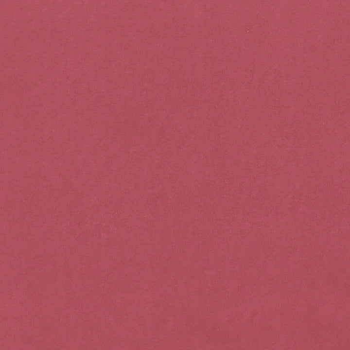 Alvar Peony by Clarke And Clarke Fabric Clarke And Clarke Fabric Alvar PeonyFabric CLARKE & CLARKE ALVAR 2 POLYESTER - 100% China </p><p>Repeat: H: 0, V: 0 56.75 - Fabric Carolina -